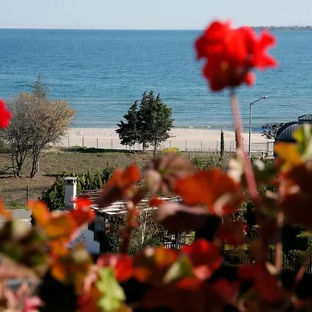 Stayinn Rainbow Beachfront By Asteri Hotel *